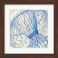 Vintage Jellyfish II Fine Art Print