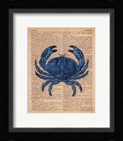 Vintage Crab Framed Print