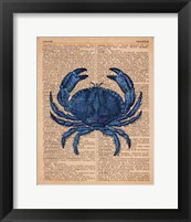 Vintage Crab Framed Print