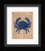 Vintage Crab Framed Print