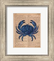 Vintage Crab Fine Art Print