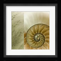 Kaleidoscope Of Memories II Fine Art Print