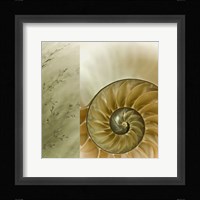 Kaleidoscope Of Memories II Fine Art Print