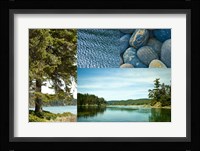 Edge Of The Forest II Fine Art Print