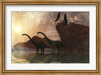 Diplodocus Dinosaurs and Pterodactyl Birds Greet the Early Morning Mist Fine Art Print