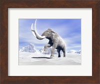 Large Mammoth Walking Slowly on the Snowy Mountain Fine Art Print
