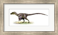 Velociraptor, a Prehistoric Era Dinosaur Fine Art Print