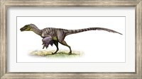 Velociraptor, a Prehistoric Era Dinosaur Fine Art Print