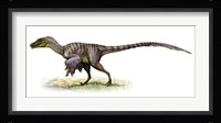 Velociraptor, a Prehistoric Era Dinosaur Fine Art Print