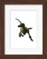 Velociraptor, White Background Fine Art Print