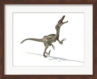 Velociraptor Dinosaur Fine Art Print