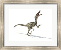 Velociraptor Dinosaur Fine Art Print