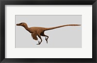 Velociraptor Mongoliensis from the Cretaceous Period Fine Art Print