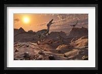 A Pack of Carnivorous Velociraptors from the Cretaceous Period Framed Print