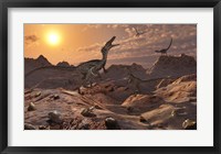 A Pack of Carnivorous Velociraptors from the Cretaceous Period Framed Print
