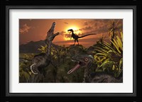 A Group of Feathered Carnivorous Velociraptors Framed Print