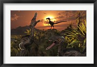 A Group of Feathered Carnivorous Velociraptors Framed Print