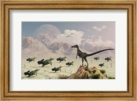 Protoceratops stampede in fear as a Velociraptor Watches Fine Art Print