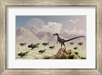 Protoceratops stampede in fear as a Velociraptor Watches Fine Art Print