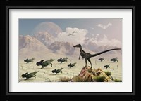 Protoceratops stampede in fear as a Velociraptor Watches Framed Print