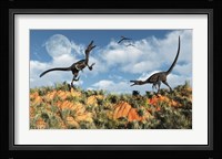 Velociraptors involved in a Territorial Dispute Framed Print