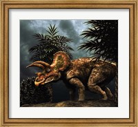 Triceratop, Herbivorous Dinosaur from the Cretaceous Period Fine Art Print