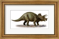 Triceratops Dinosaur 6 Fine Art Print