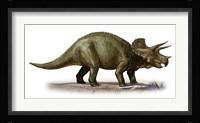 Triceratops Dinosaur 6 Fine Art Print