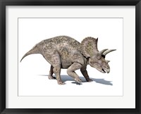 3D rendering of a Triceratops Dinosaur Fine Art Print