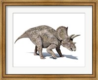 3D rendering of a Triceratops Dinosaur Fine Art Print