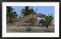 Ceratosaurus Hunting down a Triceratops Fine Art Print