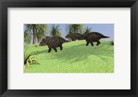 Three Triceratops Walking across an Open Field Fine Art Print