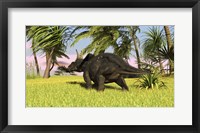 Triceratops Dinosaur 10 Fine Art Print