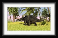 Triceratops Dinosaur 10 Fine Art Print