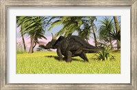 Triceratops Dinosaur 10 Fine Art Print