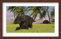 Triceratops Dinosaur 11 Fine Art Print