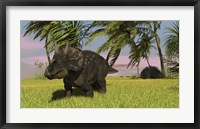 Triceratops Dinosaur 11 Fine Art Print
