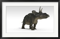 Triceratops Dinosaur 2 Framed Print