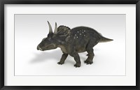 Triceratops Dinosaur 3 Framed Print