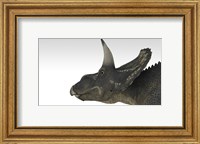 Triceratops Dinosaur 4 Fine Art Print