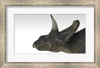 Triceratops Dinosaur 4 Fine Art Print