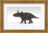 Triceratops Dinosaur 5 Fine Art Print
