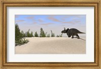 Triceratops Dinosaur 7 Fine Art Print