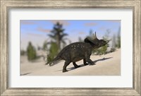 Triceratops Dinosaur 8 Fine Art Print