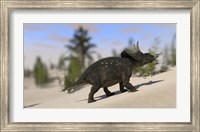 Triceratops Dinosaur 8 Fine Art Print