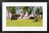 Triceratops Dinosaur 9 Fine Art Print