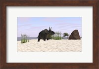Triceratops on a Beach Fine Art Print