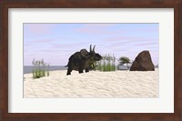 Triceratops on a Beach Fine Art Print