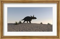 Triceratops Walking across a Barren Landscape 1 Fine Art Print