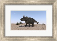 Triceratops Walking across a Barren Landscape 2 Fine Art Print